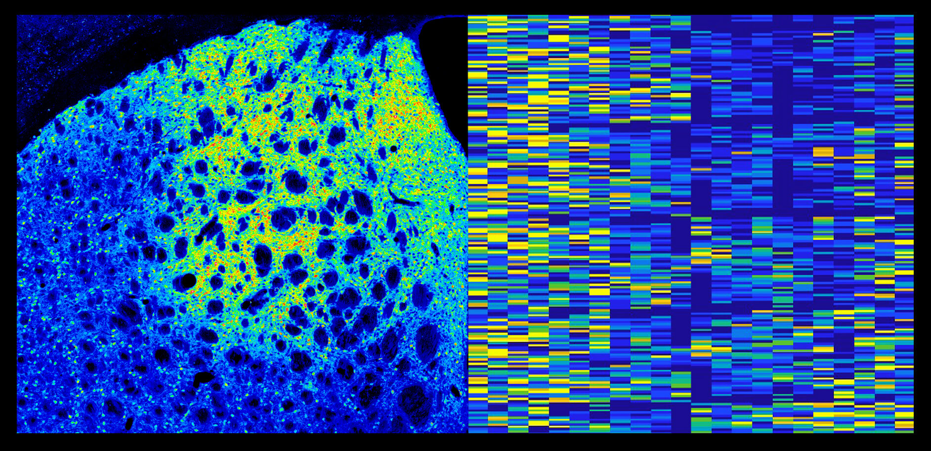 Bertran-Gonzalez bioRxiv 2022